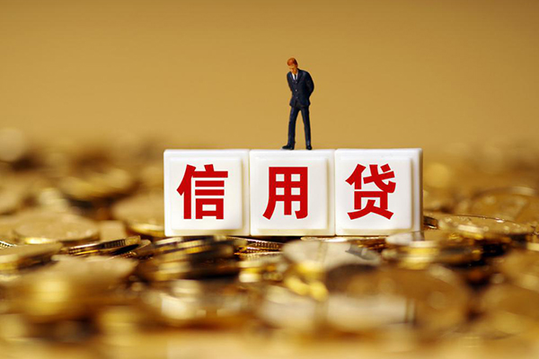 上海民急个人贷款额-上海民急哪里可以借钱-上海民急信用贷款办理